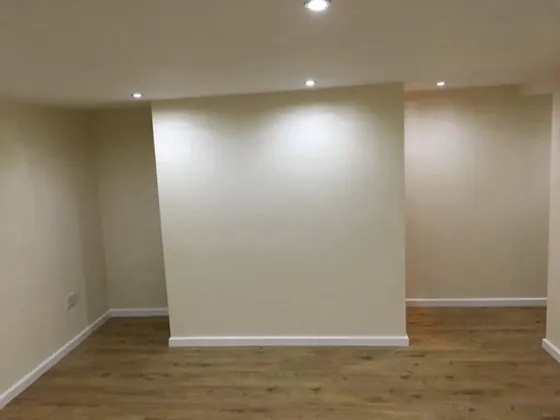 Finished cellar room with plain walls and a wood floor